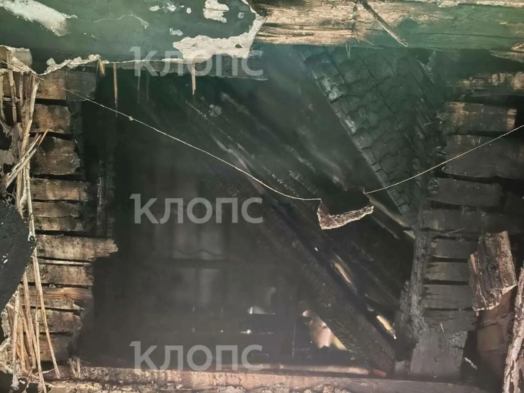 «Выскочила босиком в халате»: семья, потерявшая квартиру в пожаре на улице Грибоедова, просит помощи «Выскочила босиком в халате»: семья, потерявшая квартиру в пожаре на улице Грибоедова, просит помощи