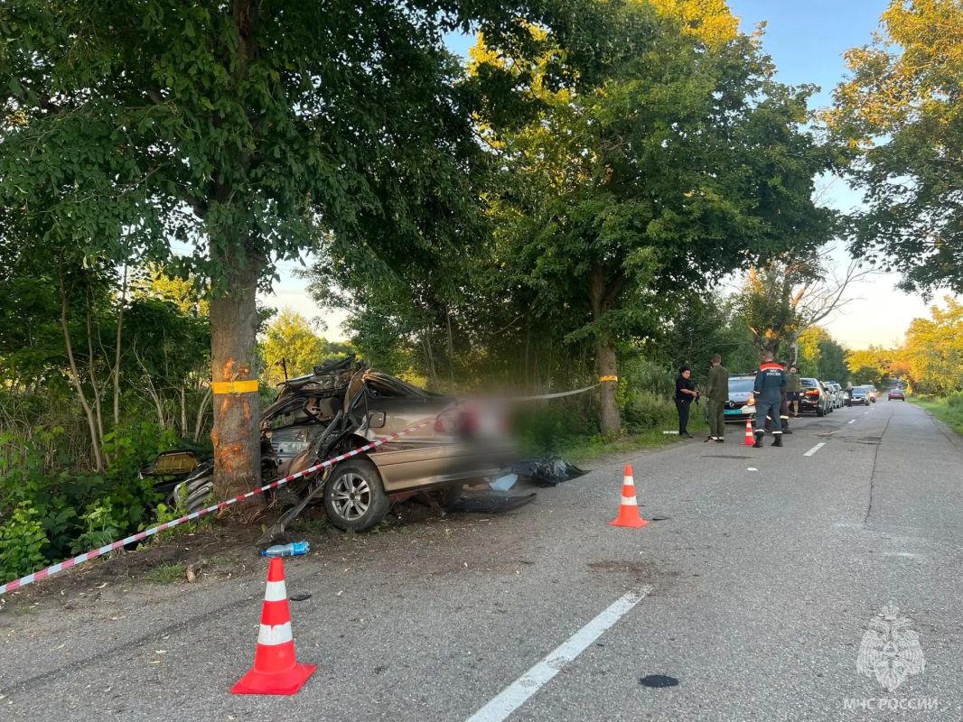 Три человека погибли в аварии под Калининградом Три человека погибли в аварии под Калининградом