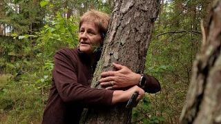 Советские лесоводы в год сажали 80-100 гектаров леса на Куршской косе