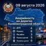 �� ����� ������������ ���������������� �������� 229 ��������� ������ ��������� ��������, � ��� �����: