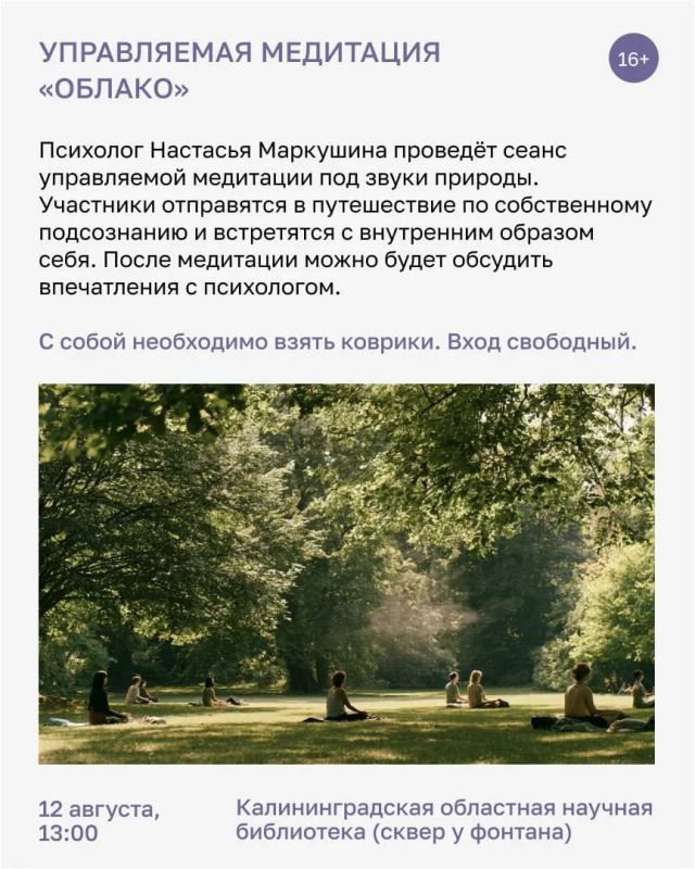 Любознательность бывает довольно затратна Любознательность бывает довольно затратна