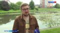 Едкий запах канализации, грязь и мусор на поверхности тёмно-зелёной воды