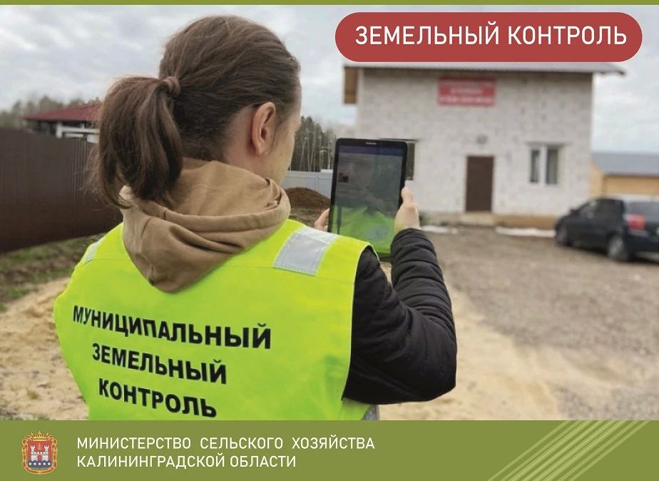 Более 30 тыс. га сельхозземель в Калининградской области обследовали инспектора муниципального земельного контроля всего за 4 месяца