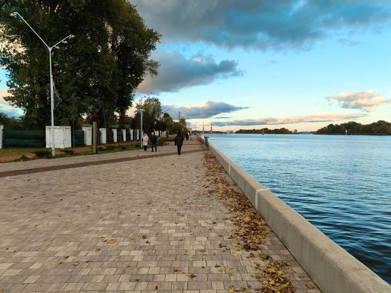 В Светлом с дебошира с собакой требуют 200 тыс