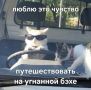 ������� ���������� BMW � ��������, ��������� ������� � ������ �� ��� � �����������