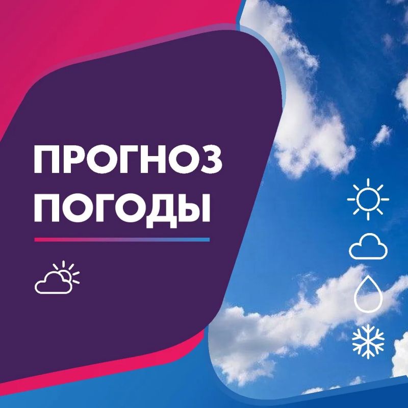 ПОГОДА 12 АВГУСТА В КАЛИНИНГРАДСКОЙ ОБЛАСТИ