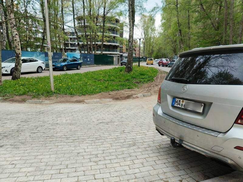Миллионеры из Светлогорска попросили губернатора остановить им электричку
