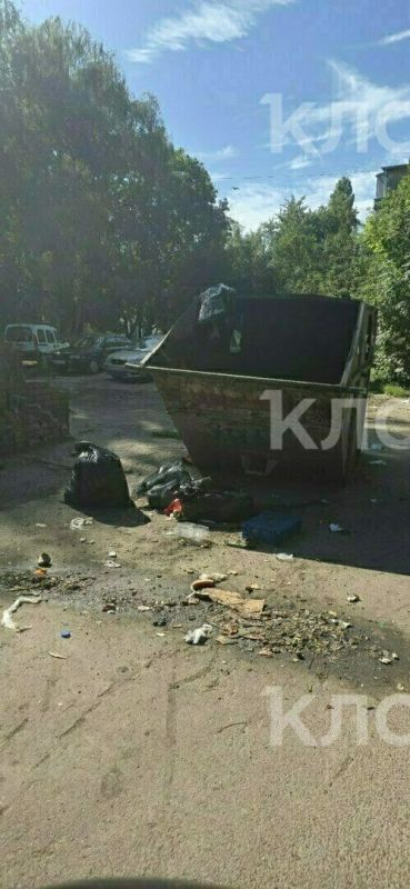 Калининградцам объяснили, кто должен убирать хлам вокруг мусорных контейнеров Калининградцам объяснили, кто должен убирать хлам вокруг мусорных контейнеров