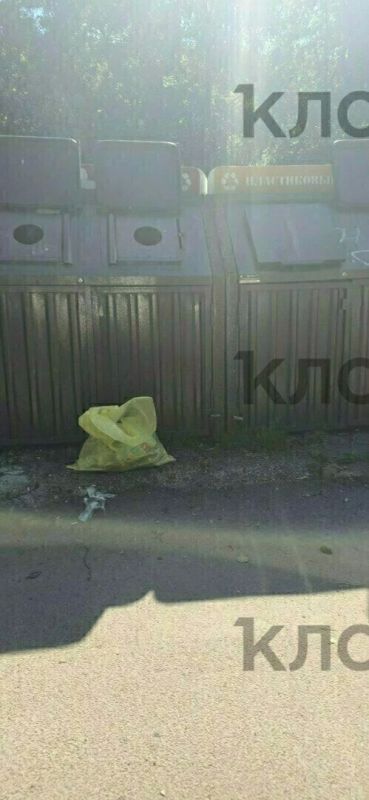 Калининградцам объяснили, кто должен убирать хлам вокруг мусорных контейнеров