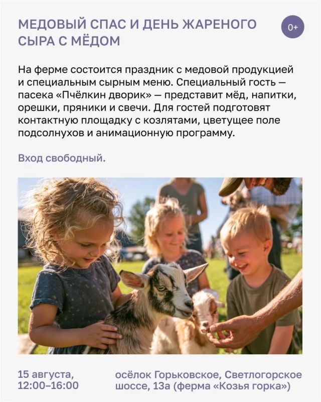 Выходные в Калининградской области обещают быть яркими, вкусными и познавательными Выходные в Калининградской области обещают быть яркими, вкусными и познавательными