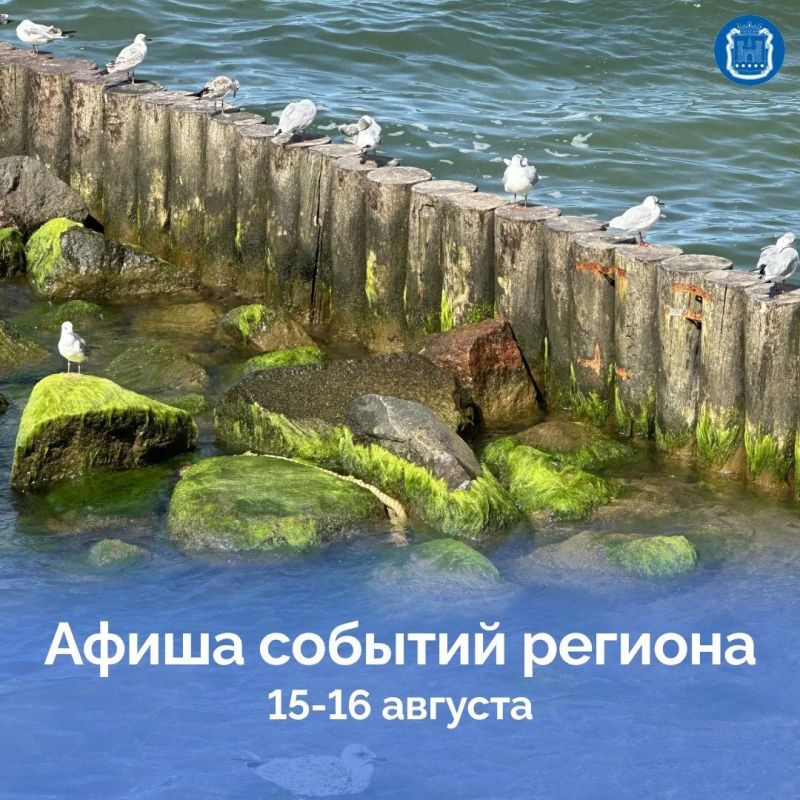 15 августа на рынке «Дружба» в посёлке Дружный Гурьевского округа пройдёт фермерская ярмарка