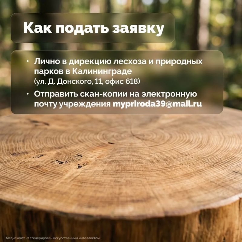 Продолжая тему заготовки и доставки топливной древесины для жителей Озерска и Нестерова, подготовили для вас дополнительно информацию в виде карточек Продолжая тему заготовки и доставки топливной древесины для жителей Озерска и Нестерова, подготовили для вас дополнительно информацию в виде карточек