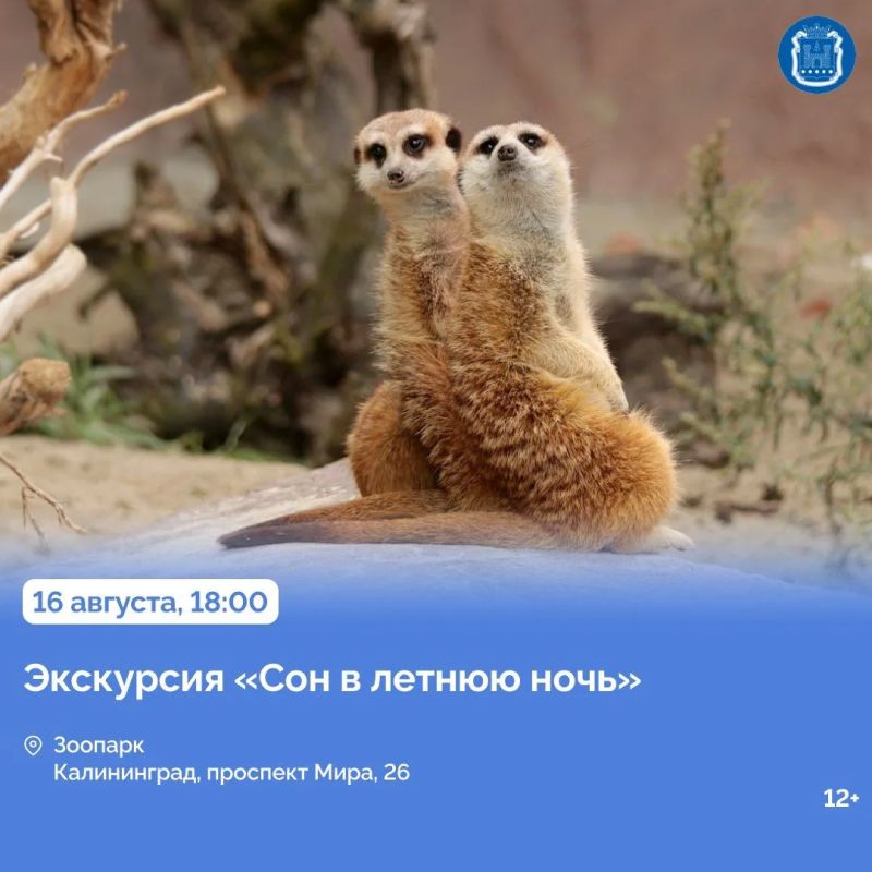 15 августа на рынке «Дружба» в посёлке Дружный Гурьевского округа пройдёт фермерская ярмарка 15 августа на рынке «Дружба» в посёлке Дружный Гурьевского округа пройдёт фермерская ярмарка