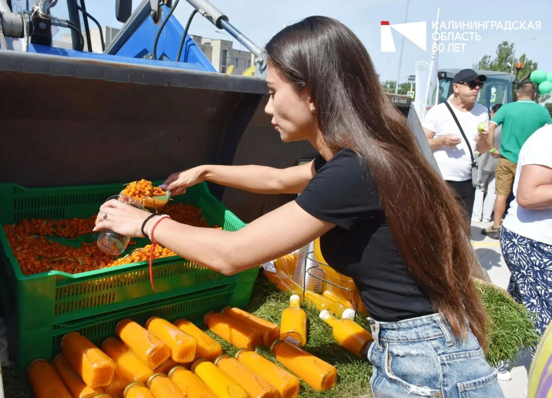 В эту субботу в Калининграде открыли новый фермерский рынок «Дружба» В эту субботу в Калининграде открыли новый фермерский рынок «Дружба»