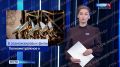 Фестиваль короткометражного и дебютного кино «Короче» откроется в Калининграде 18 августа