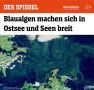 В Балтийском море и озёрах Германии массово распространились сине-зелёные водоросли
