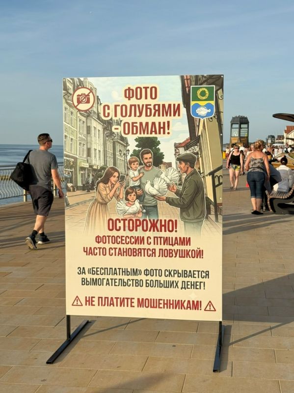 На улицах Зеленоградска поставили баннеры с призывом не фотографироваться с декоративными голубями На улицах Зеленоградска поставили баннеры с призывом не фотографироваться с декоративными голубями
