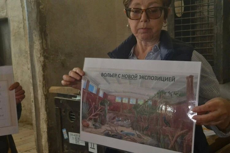 «Сквозной маршрут, музей и новые вольеры»: во что превратят слоновник в Калининградском зоопарке «Сквозной маршрут, музей и новые вольеры»: во что превратят слоновник в Калининградском зоопарке