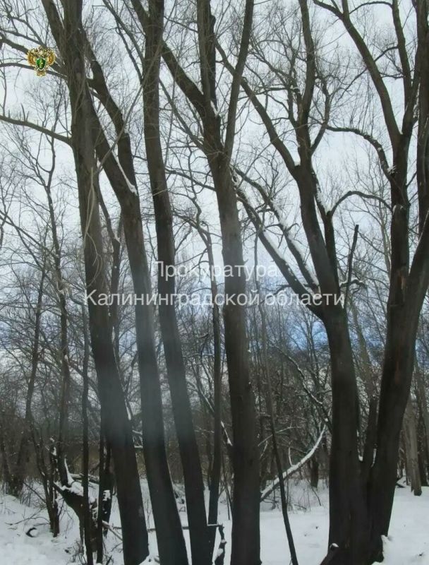 С базы на Правой Набережной, где зимой произошёл пожар, хотят взыскать около 672 тысяч рублей