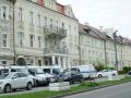 Под Гусевом 50-летний жёстко заступился за собаку палкой