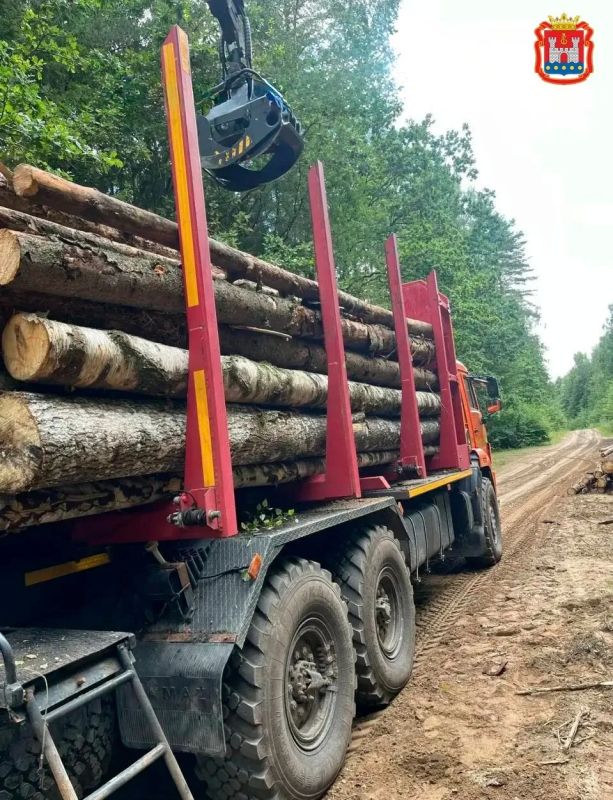 Сегодня в Нестеров поступила очередная партия дровяной древесины для населения