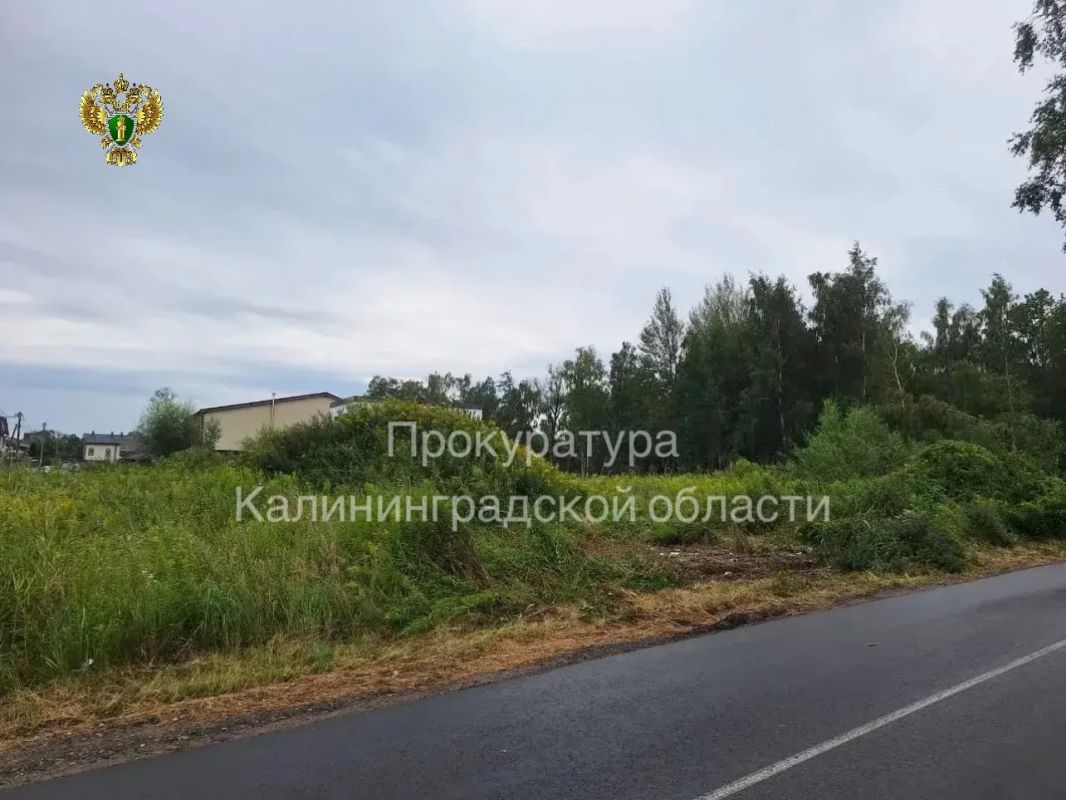 После вмешательства прокуратуры города Светлого ликвидирована свалка строительных отходов После вмешательства прокуратуры города Светлого ликвидирована свалка строительных отходов
