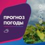 ПОГОДА 18 АВГУСТА В КАЛИНИНГРАДСКОЙ ОБЛАСТИ