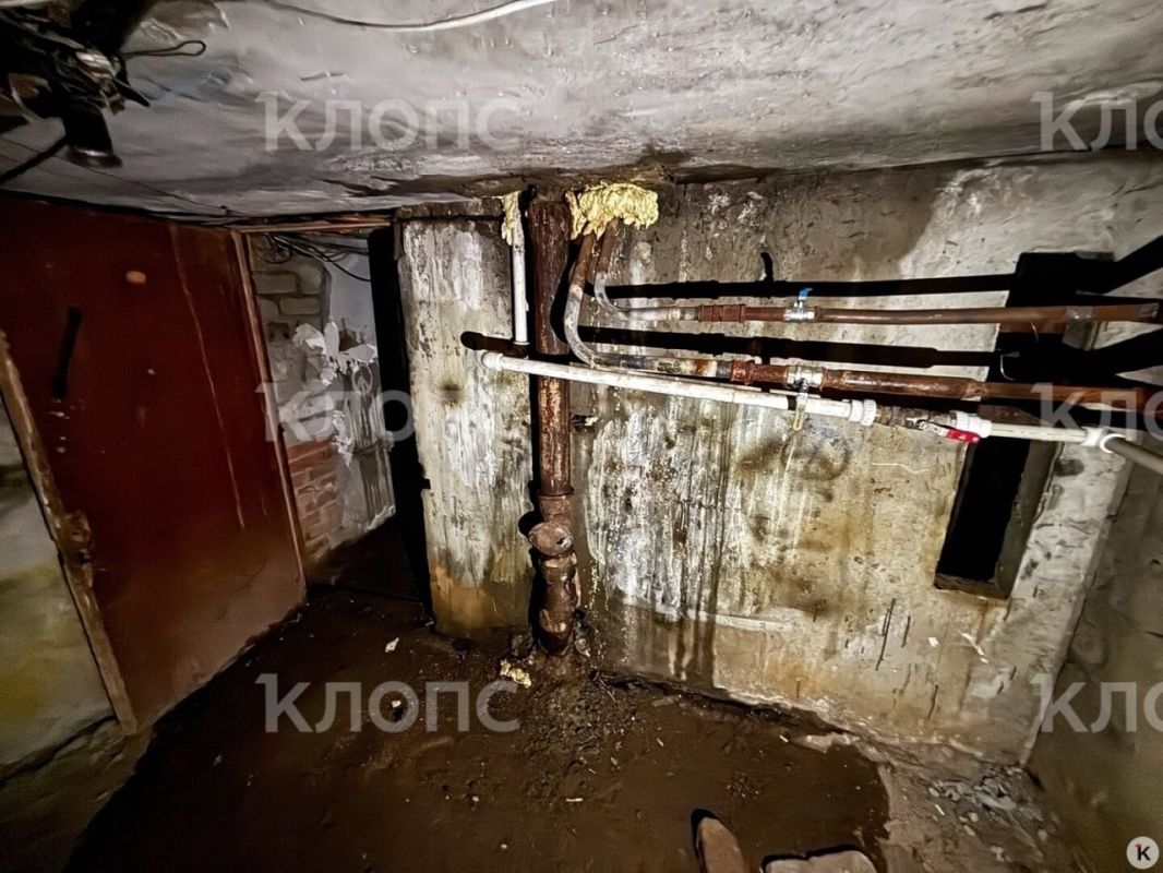 Калининградец завалил хламом свою квартиру в центре города и забирается домой через окно Калининградец завалил хламом свою квартиру в центре города и забирается домой через окно