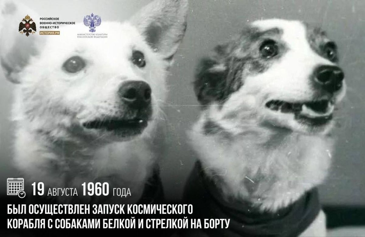 19 августа 1960 года был осуществлен запуск космического корабля с собаками Белкой и Стрелкой на борту