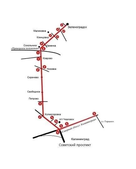 Из-за велопробега «Тур-де-Кранц» под Калининградом перекроют дороги