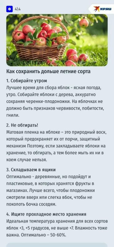 Яблочный Спас: за что стоит любить яблоки Яблочный Спас: за что стоит любить яблоки