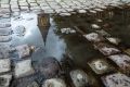 Зонты пригодятся до второй половины дня: прогноз погоды в Калининграде и области на четверг