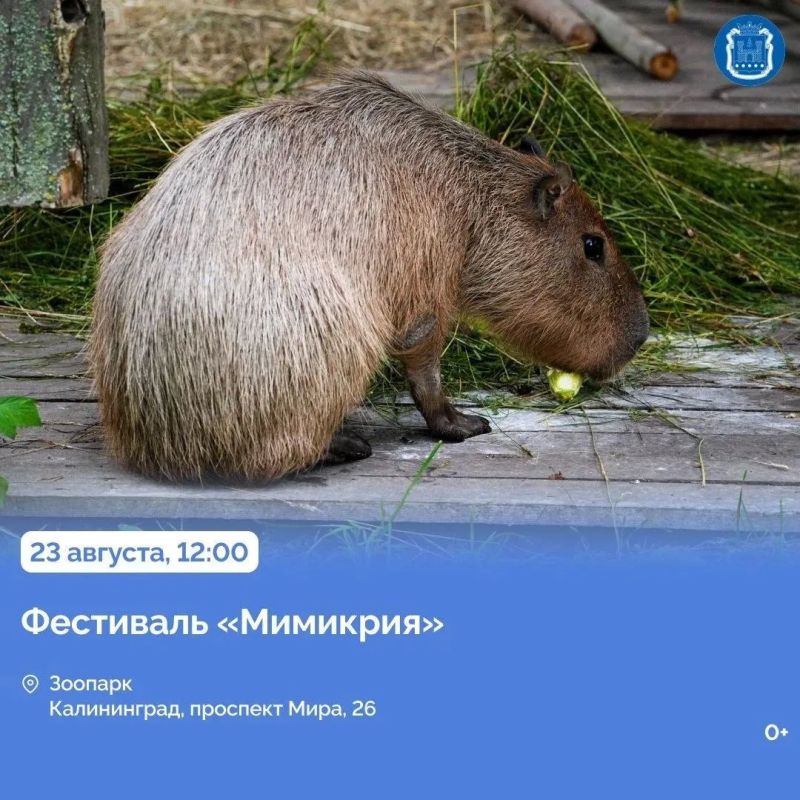 22 и 23 августа Неман отметит День города 22 и 23 августа Неман отметит День города