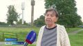 в Полесском округе старую башню не демонтируют ради пернатой семьи