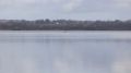 Во всём виновата трава, которую намотало на винт лодки: на Виштынце литовского рыбака прибило к российским пограничникам