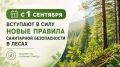 С 1 сентября вступают в силу новые правила санитарной безопасности в лесах, об этом сообщило региональное Минприроды