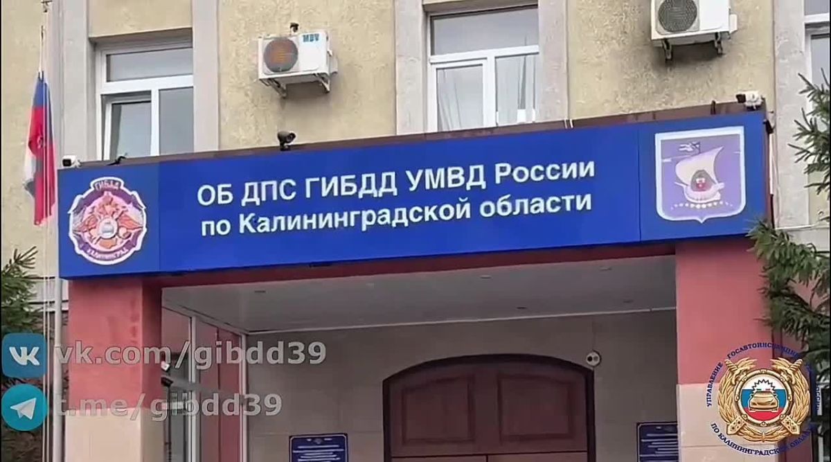 В Калининграде водитель «Доджа» катал полураздетых друзей в «кузове-бассейне»