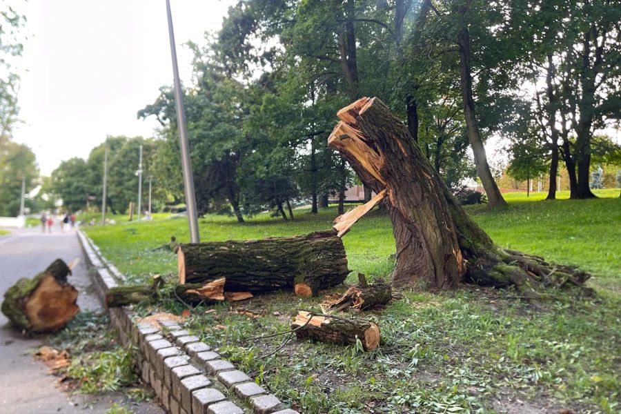 В Калининградской области продолжают устранять последствия шторма