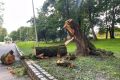 В Калининградской области продолжают устранять последствия шторма