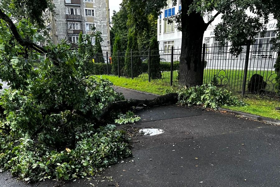 В Калининградской области продолжают устранять последствия шторма В Калининградской области продолжают устранять последствия шторма