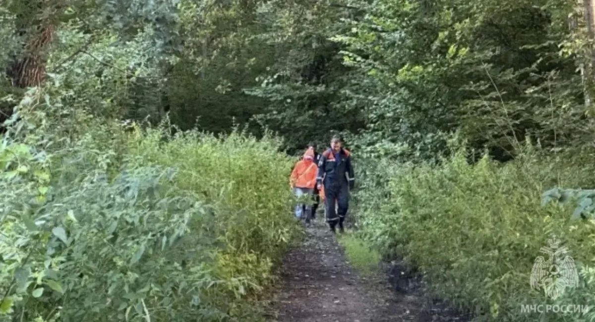 В Зеленоградском округе спасатели вывели из леса двух женщин с детьми В Зеленоградском округе спасатели вывели из леса двух женщин с детьми