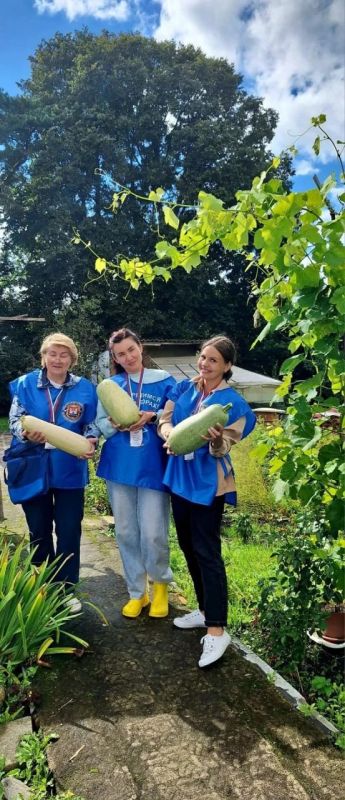 Новый день. Новые встречи Новый день. Новые встречи