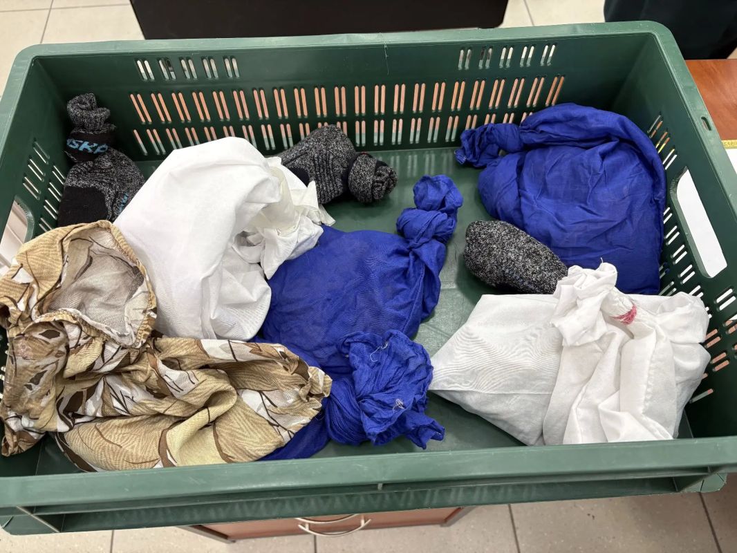 116 редких ящериц нашли в подкладке куртки россиянки на границе с Польшей 116 редких ящериц нашли в подкладке куртки россиянки на границе с Польшей