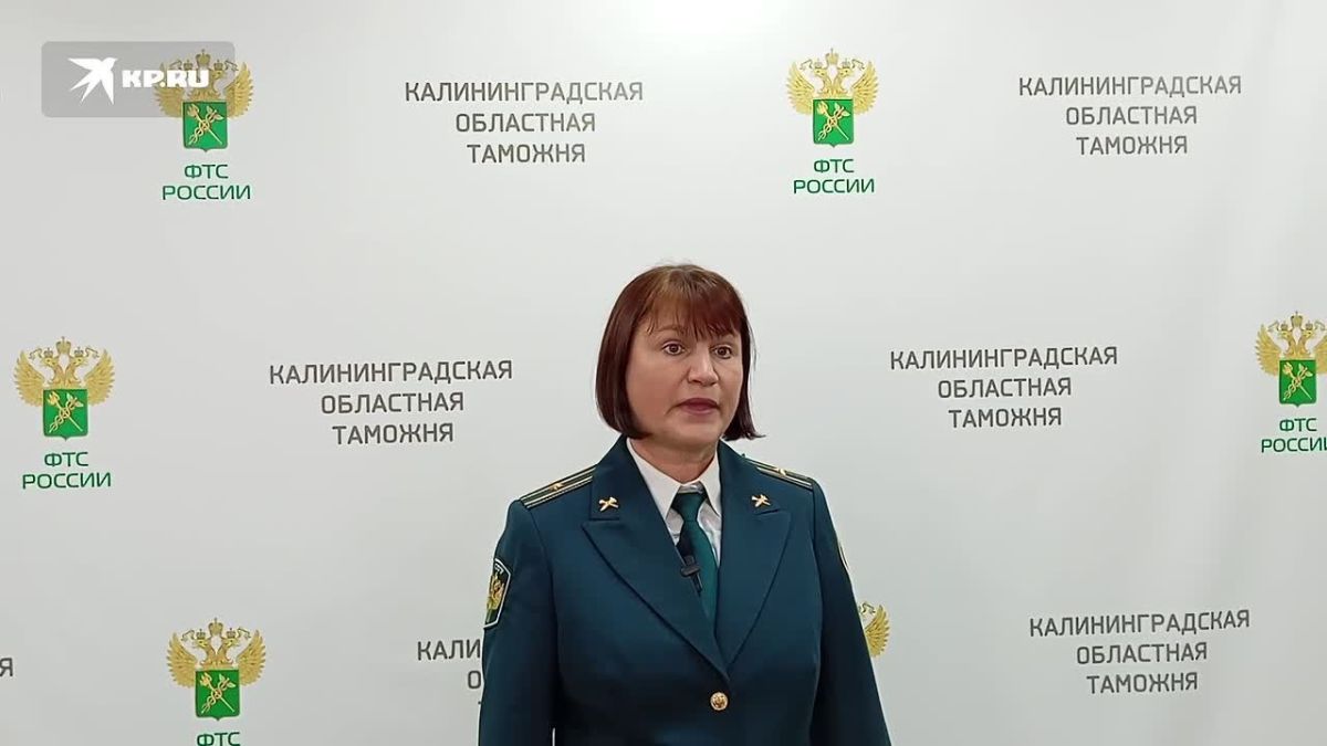 Россиянка пыталась в подкладке своей куртки провести через границу 116 живых ящериц