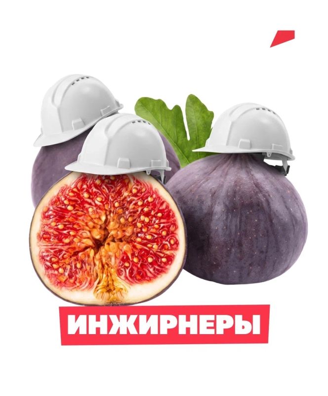 Мы не знаем, кто придумал инжирнеров Мы не знаем, кто придумал инжирнеров