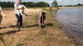 Семейство лебедей Суворовских выпустили на волю