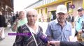 В Калининградской области открылась ярмарка выходного дня для местных производителей