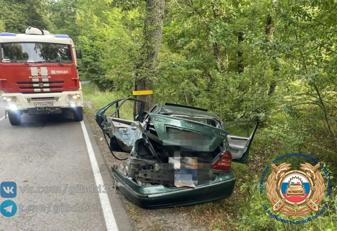 В Черняховском районе молодой водитель Mercedes врезался в дерево