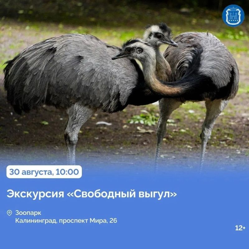 29 августа Дни городов отметят в трёх муниципалитетах – Ладушкине, Правдинском округе и Гвардейске 29 августа Дни городов отметят в трёх муниципалитетах – Ладушкине, Правдинском округе и Гвардейске