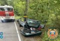 В Черняховском районе молодой водитель Mercedes врезался в дерево